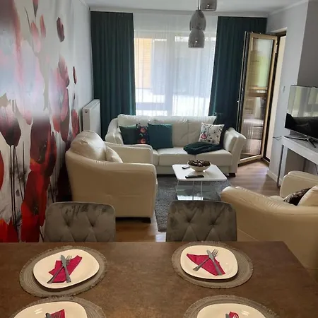 Ortiga 2 شكلارسكا بوريبا