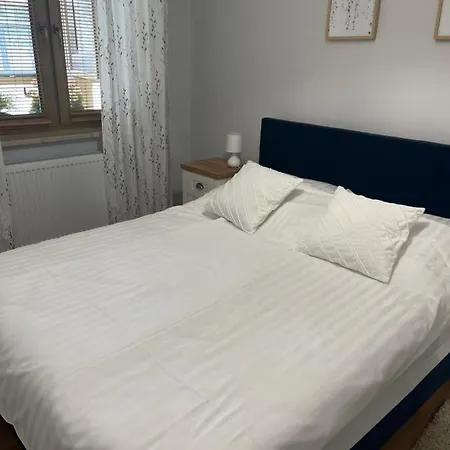 Ortiga 2 * شكلارسكا بوريبا